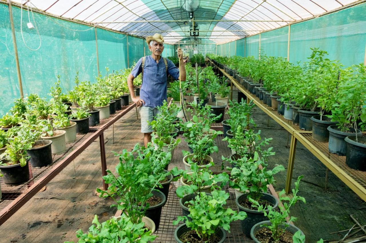 Mangaal Farmstay Goa Vichondrem Luaran gambar