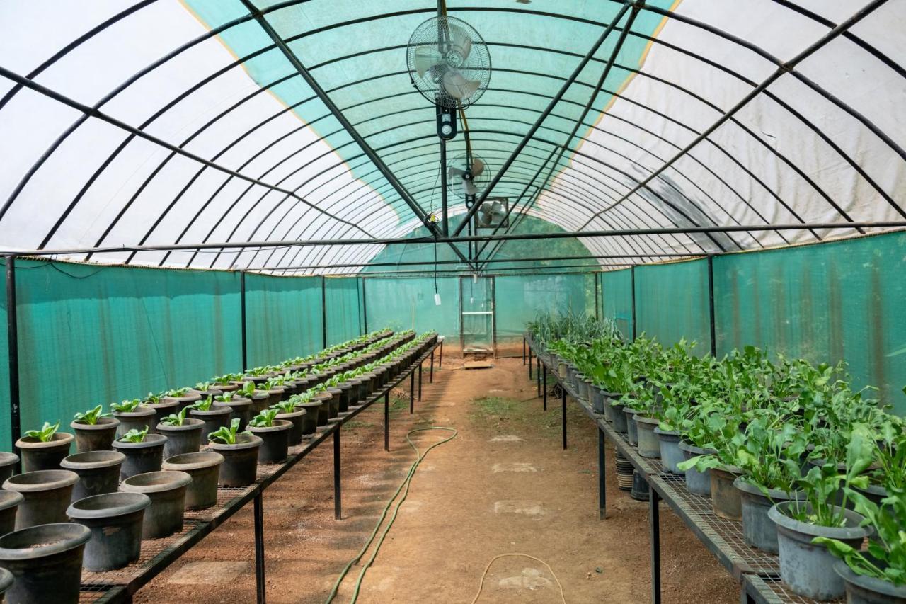 Mangaal Farmstay Goa Vichondrem Luaran gambar