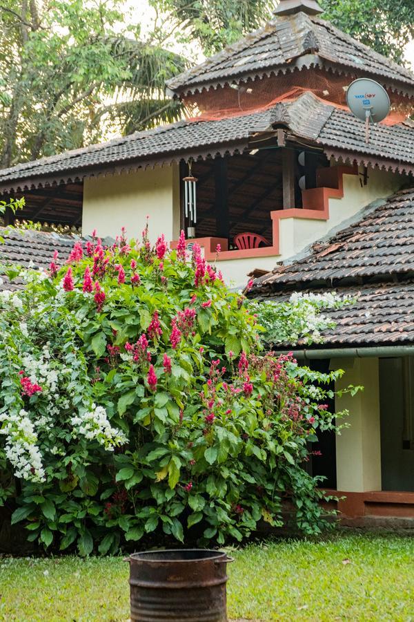 Mangaal Farmstay Goa Vichondrem Luaran gambar