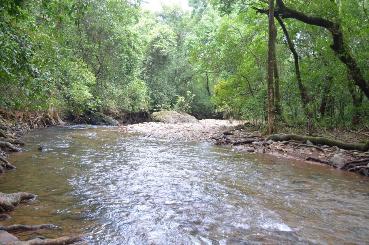 Mangaal Farmstay Goa Vichondrem Luaran gambar