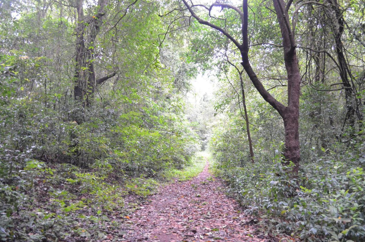 Mangaal Farmstay Goa Vichondrem Luaran gambar