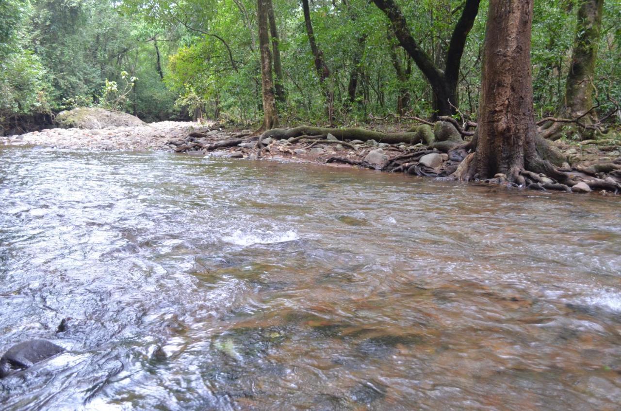 Mangaal Farmstay Goa Vichondrem Luaran gambar