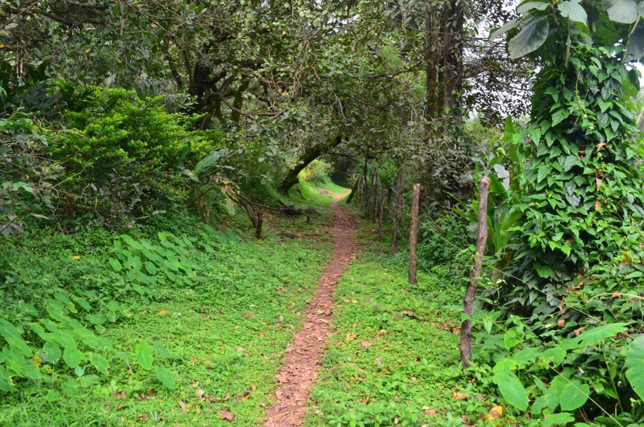 Mangaal Farmstay Goa Vichondrem Luaran gambar